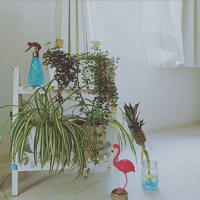 maiyukapiさんの実例写真