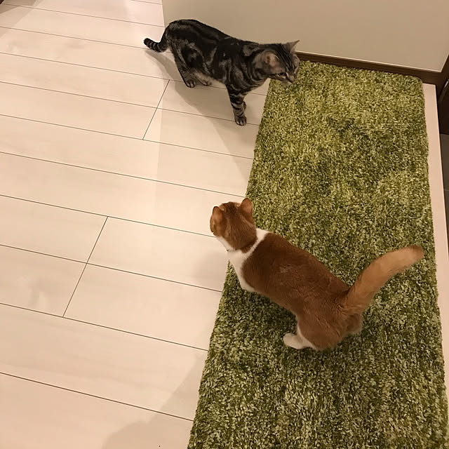 KotarouKunさんの実例写真