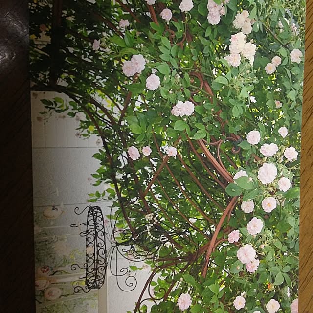 eribaaさんの実例写真