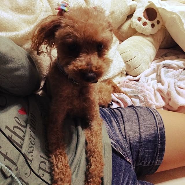 marikaさんの実例写真