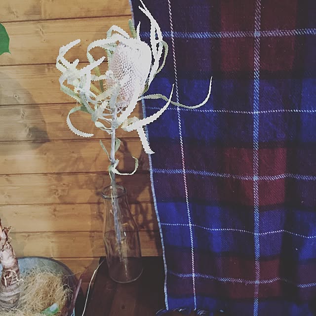soraさんの実例写真