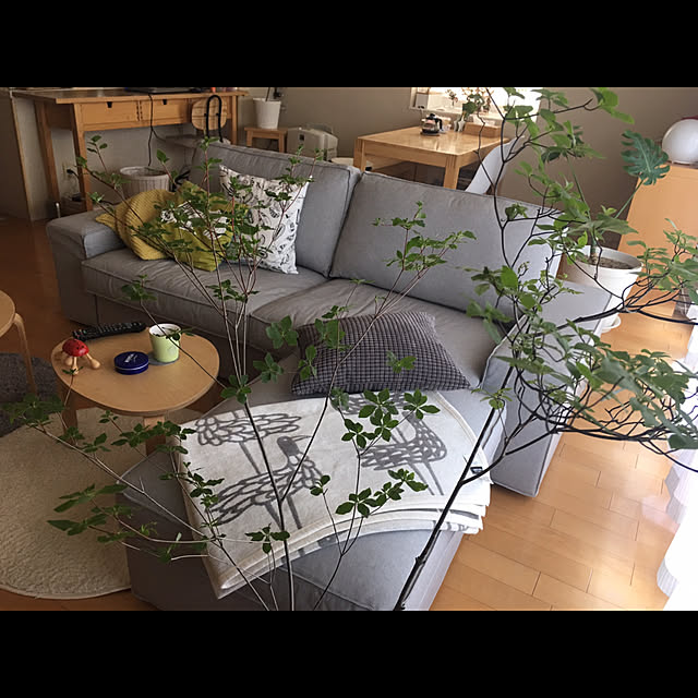 kentatomさんの実例写真