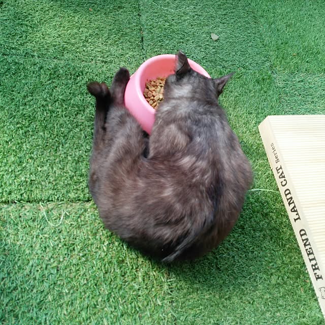 mcomcoさんの実例写真