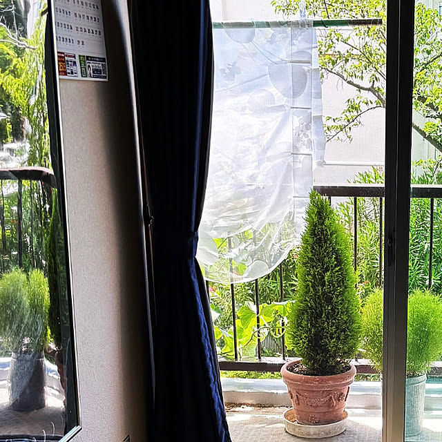 syutmmさんの部屋