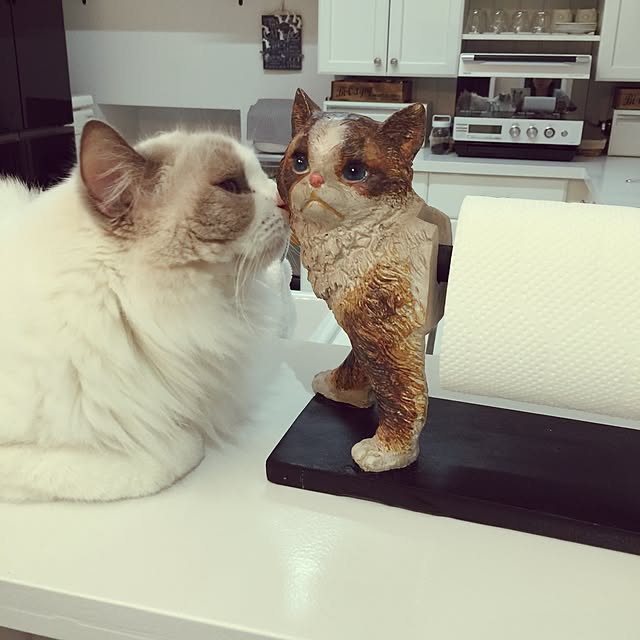 yuchiさんの実例写真