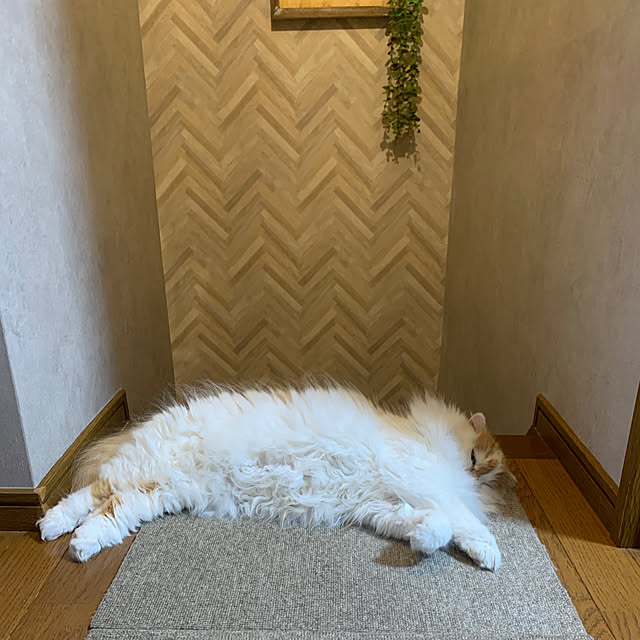keiさんの部屋