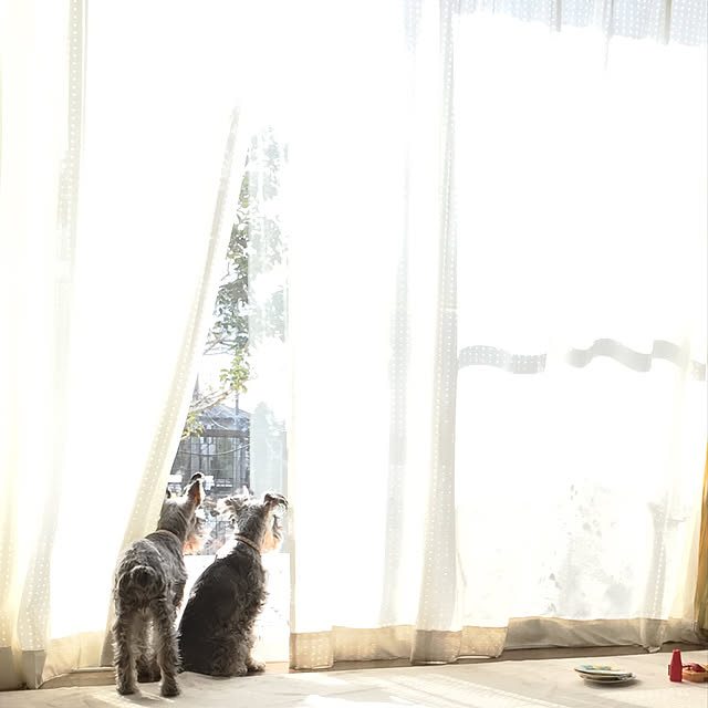 me_sweetさんの実例写真