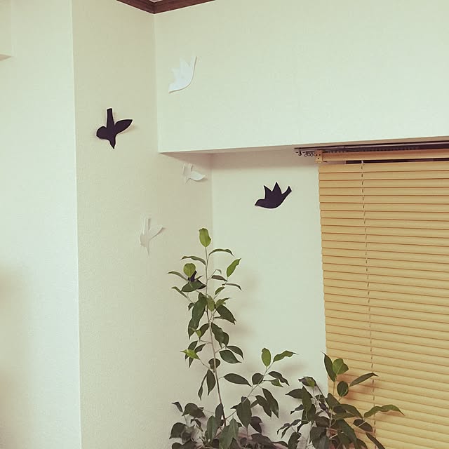Yasuhisaさんの実例写真
