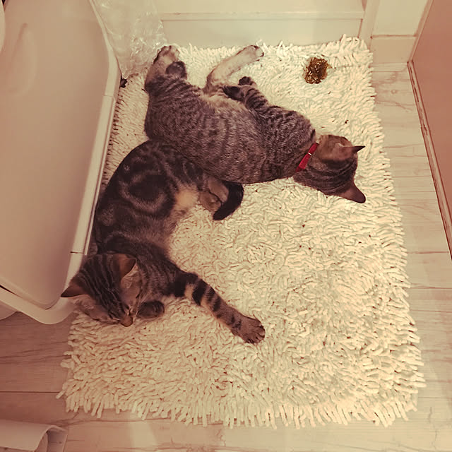 emikoさんの実例写真