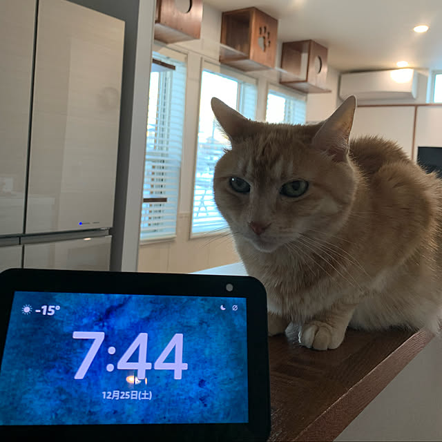 mikeume7さんの実例写真