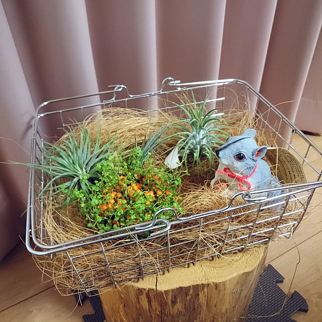 roccoさんの実例写真