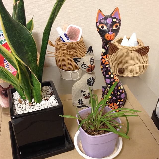 dodoさんの実例写真