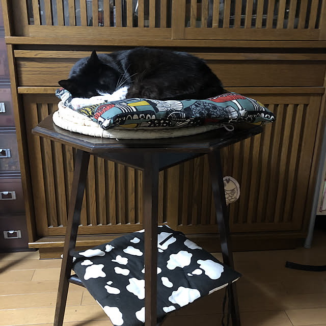 chibakimiさんの実例写真