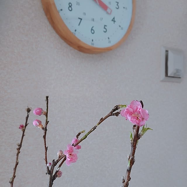 coconathuさんの部屋