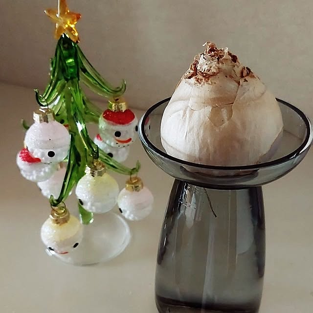 miyocoさんの実例写真