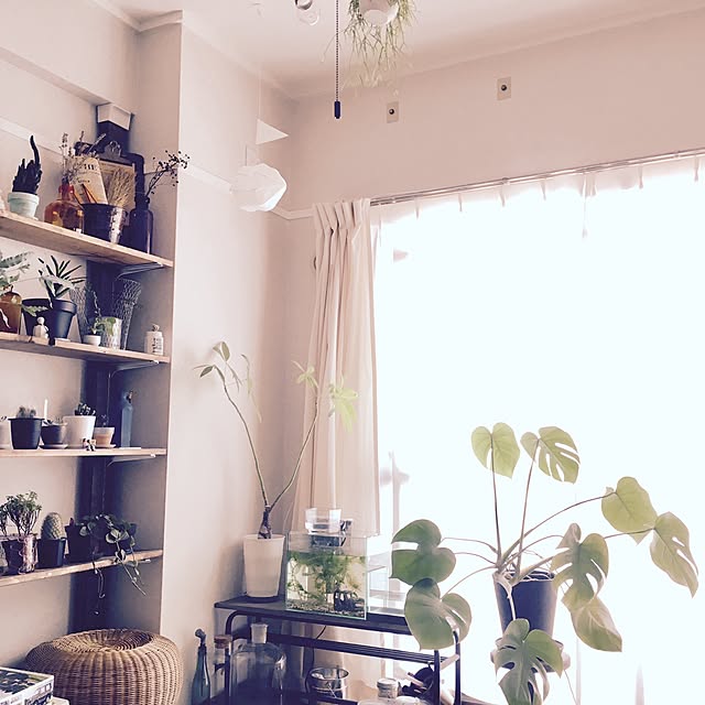 interior_yuさんの実例写真