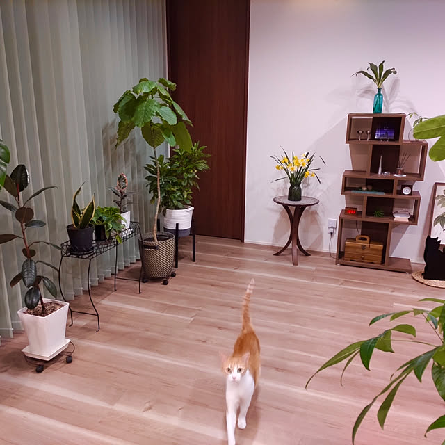 houenさんの部屋