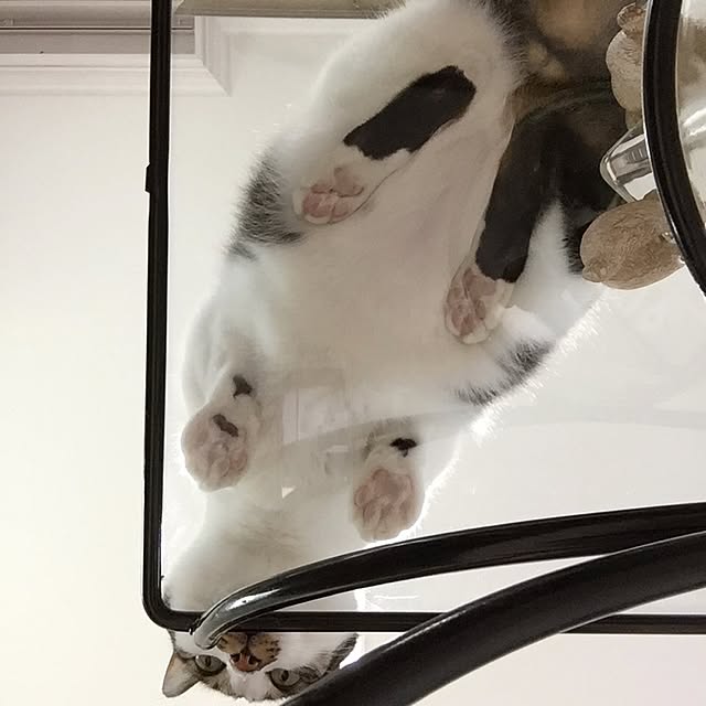 yuchiさんの実例写真