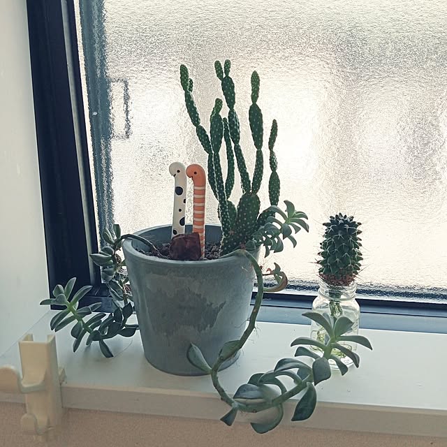 maruさんの実例写真