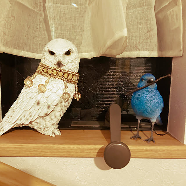 sachiさんの実例写真