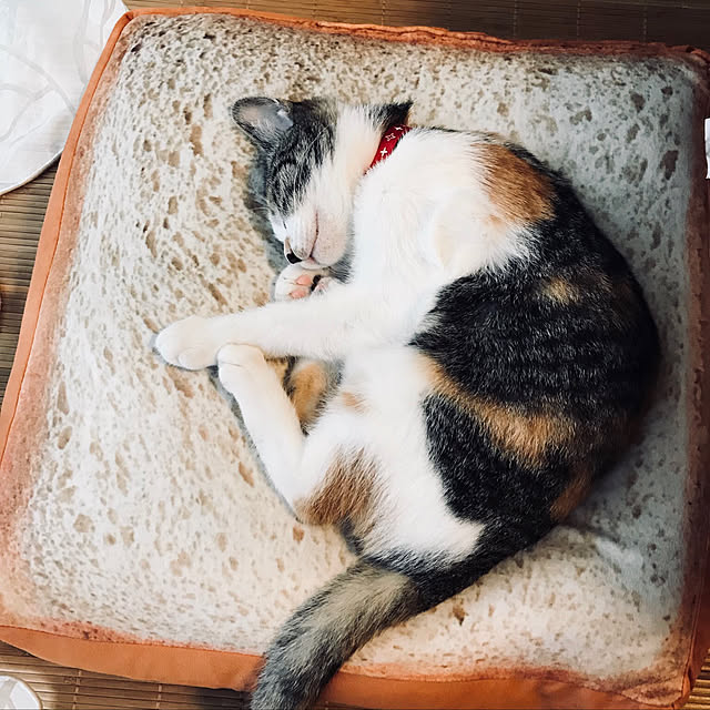1013さんの実例写真