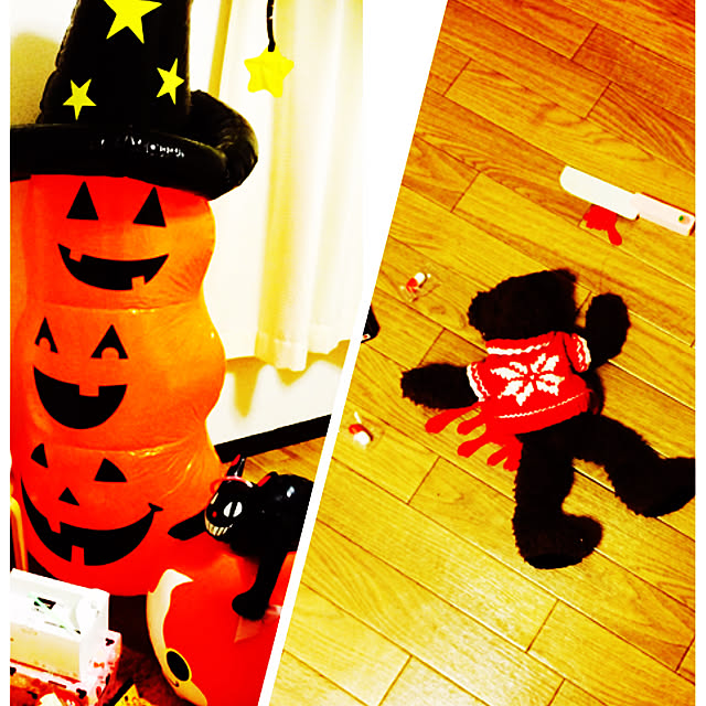 ハロウィン/部屋全体のインテリア実例 - 2019-09-06 22:06:03