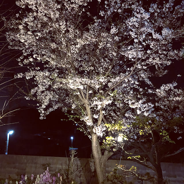 musasi1018maririnさんの実例写真