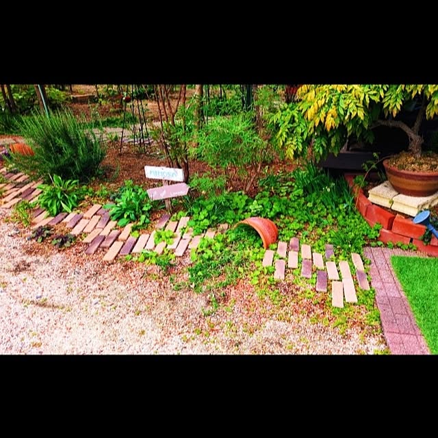 Toraziさんの実例写真