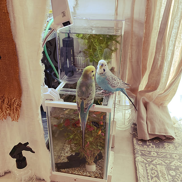 mi-yuさんの実例写真