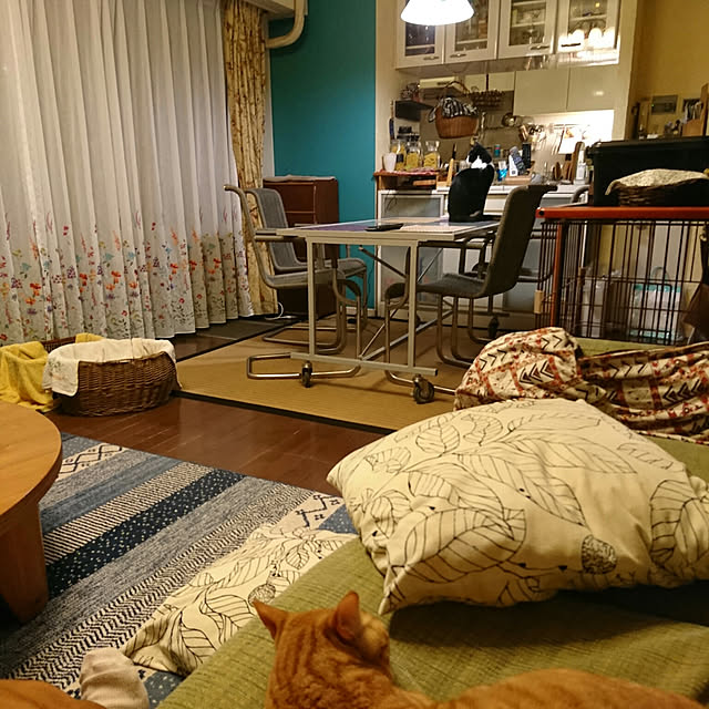 okyosan101さんの実例写真