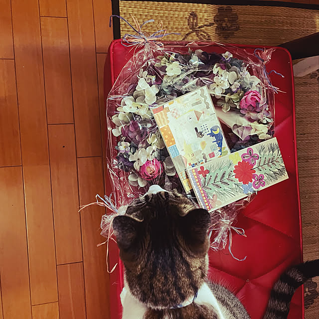 jijiさんの実例写真