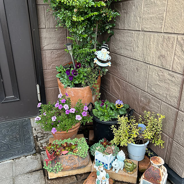 ritsukoさんの部屋