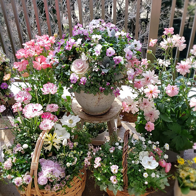 maronnanaさんの実例写真