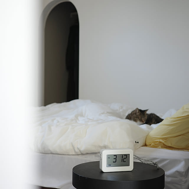 ______tnoieさんの実例写真