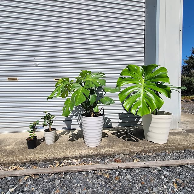Rubiconさんの部屋