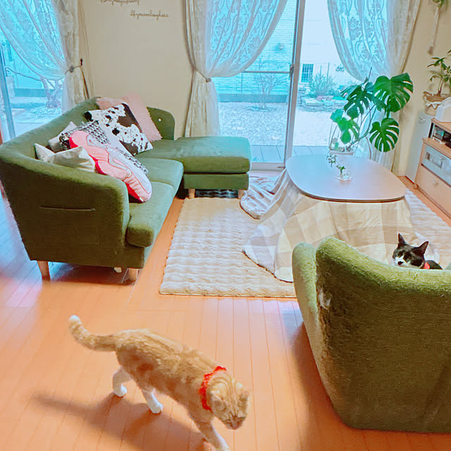 moolさんの実例写真