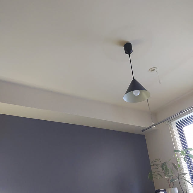 部屋全体/照明のインテリア実例 - 2020-04-11 13:53:23