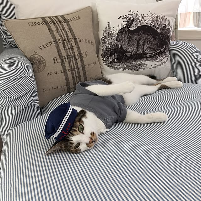 yuchiさんの実例写真