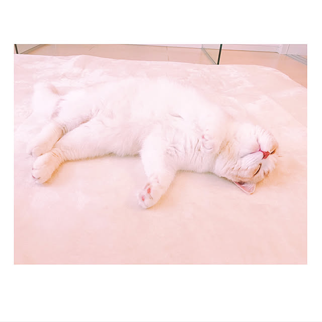 H.Tさんの実例写真
