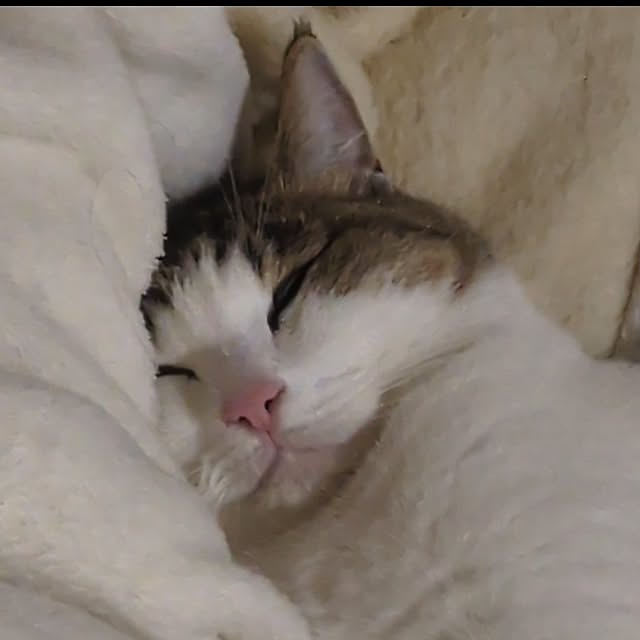 mori_6_12さんの部屋