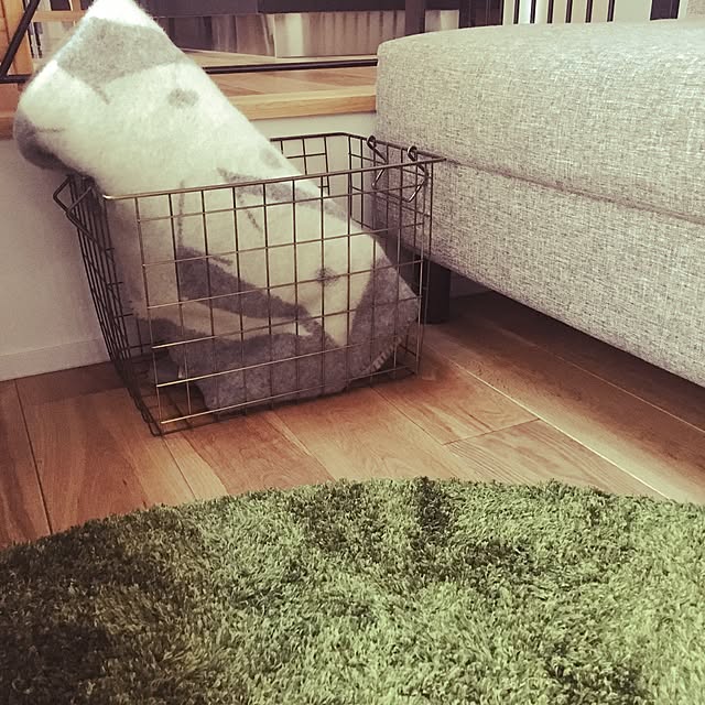 suu0125さんの実例写真