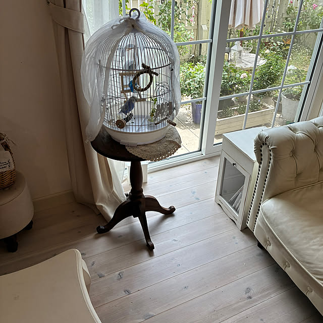 sakuraさんの部屋