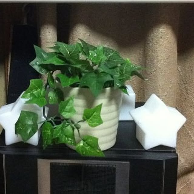 Shigeさんの実例写真