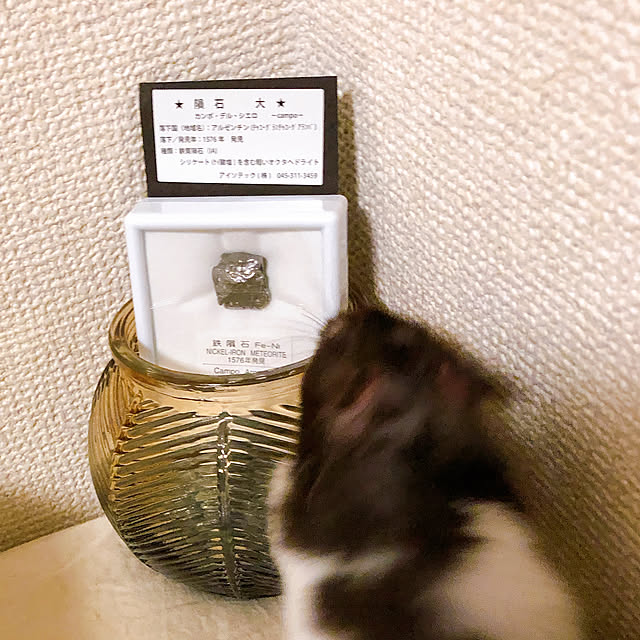sisさんの実例写真