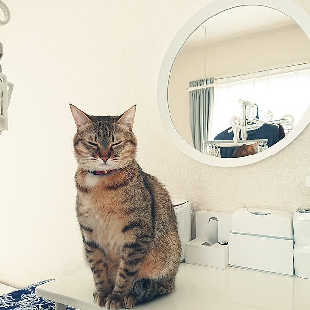 maikyさんの実例写真