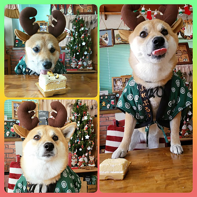 nanaさんの実例写真
