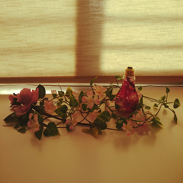 jkabmymycatさんの実例写真