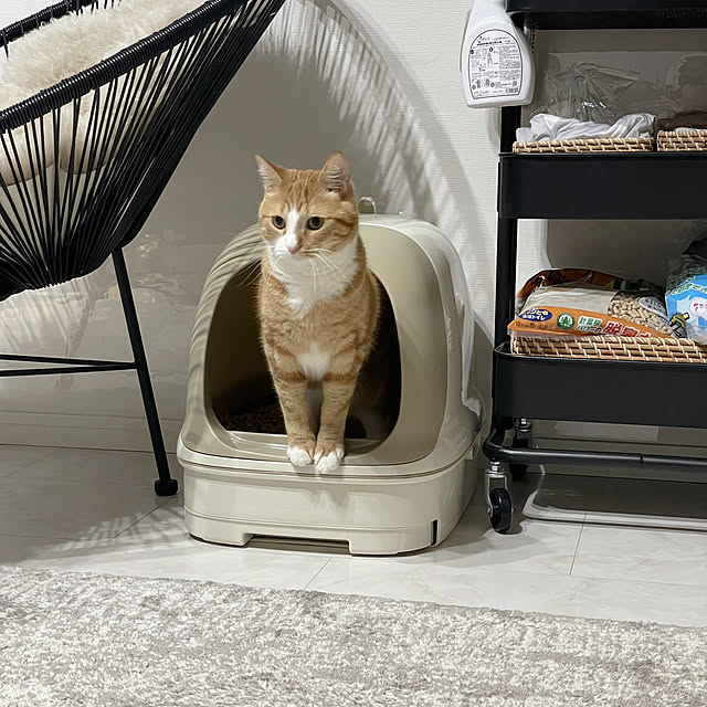 maimaiさんの実例写真