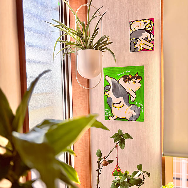 miao-kinさんの実例写真