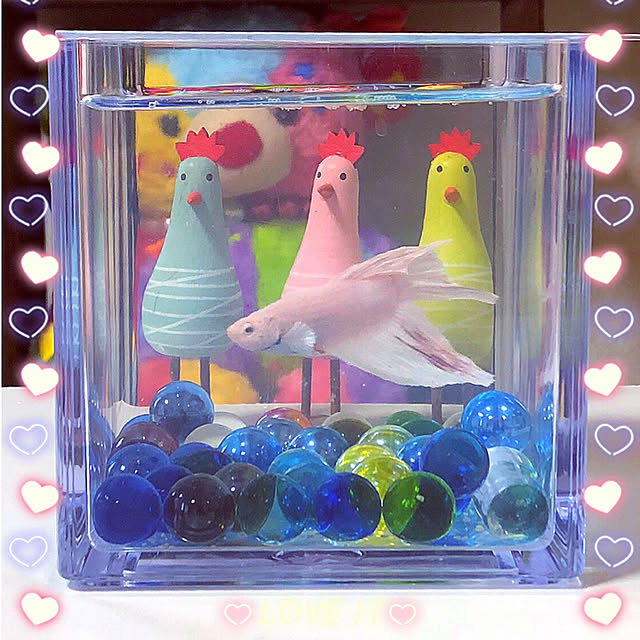 koyuriさんの実例写真